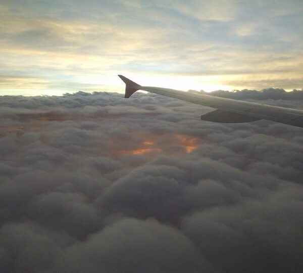 How do I cancel at TAP Air Portugal?