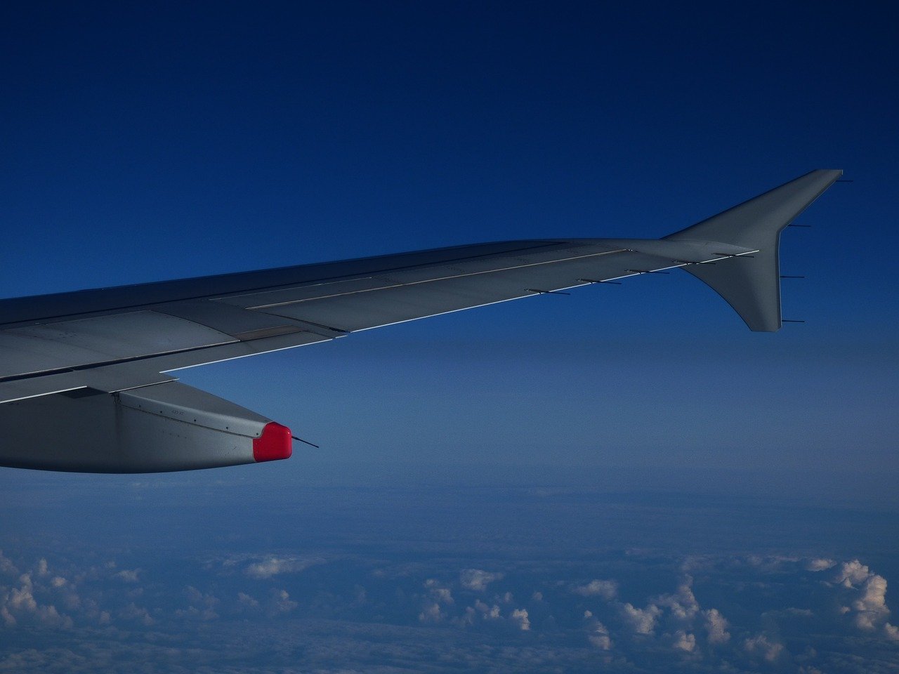 How do I speak to a live person at Turkish Airlines?