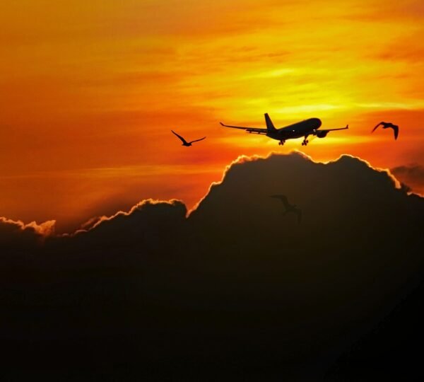 How do I upgrade at TAP Air Portugal?