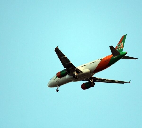 How do I talk to a live person at TAP Air Portugal?